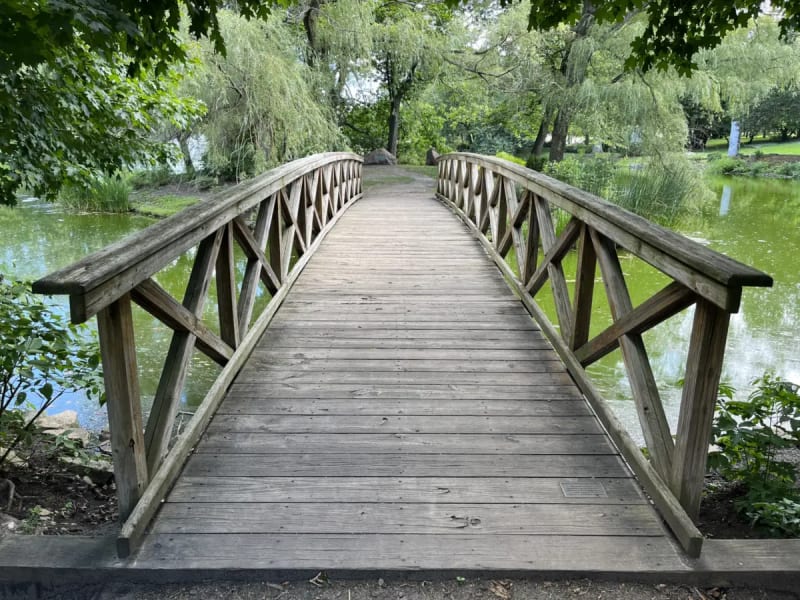 Wooden footbridge over a willow-lined pond in Graceland Cemetery, which forms the western edge of Buena Park in Chicago
