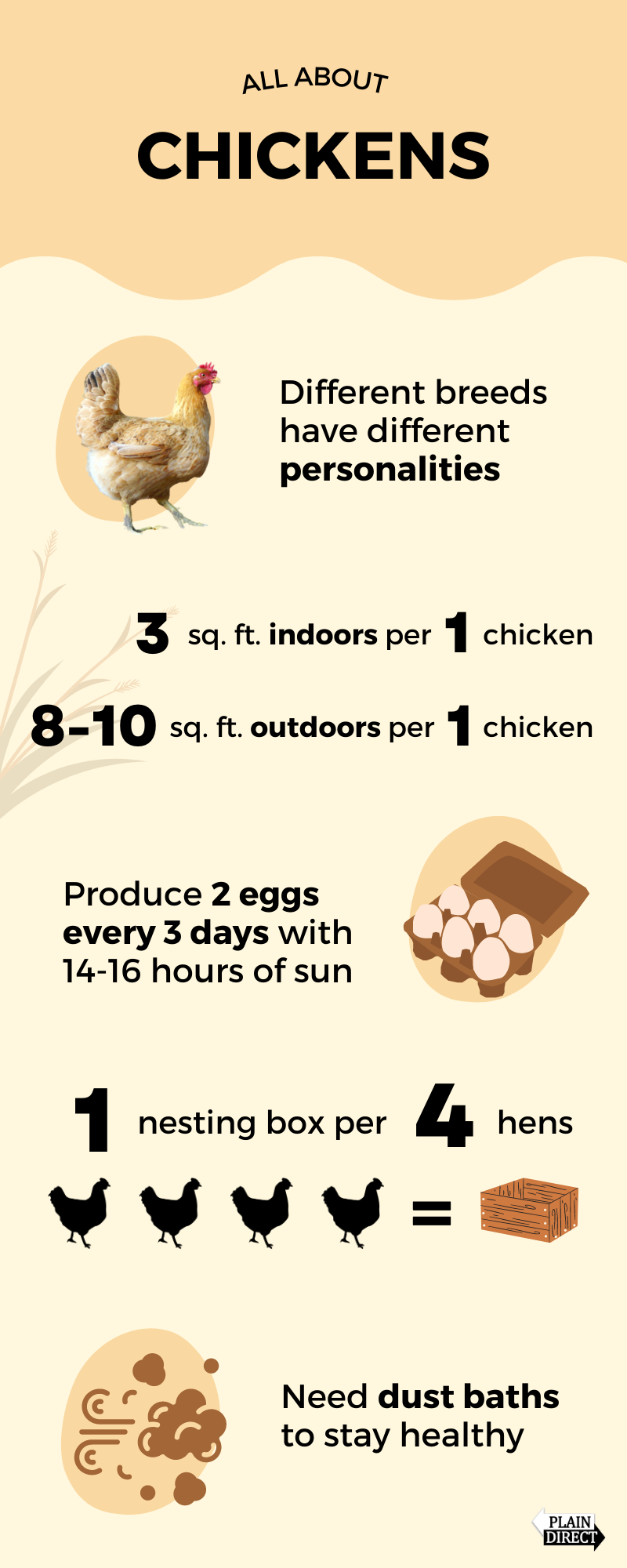 Chicken infographic