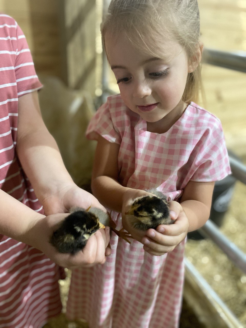 2 kids holding 2 baby chicks