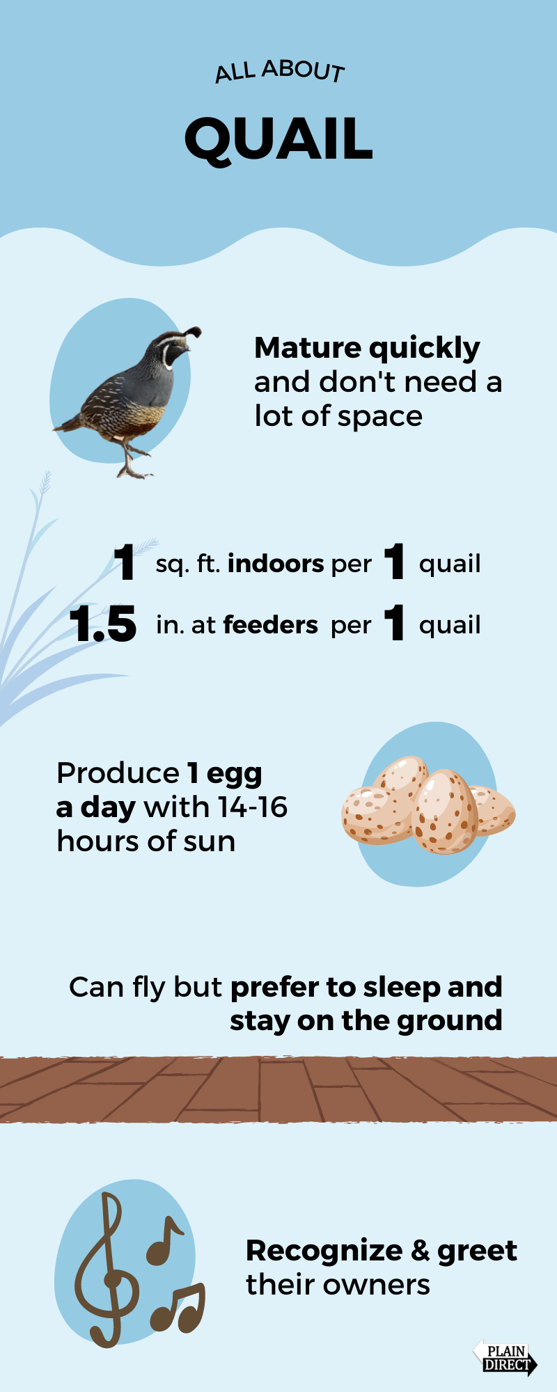 Quail infographic