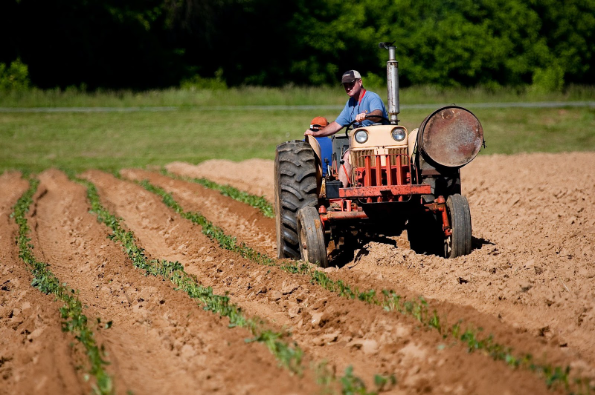 small red tractor