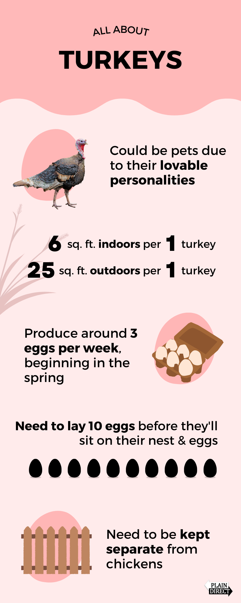 Turkey infographic