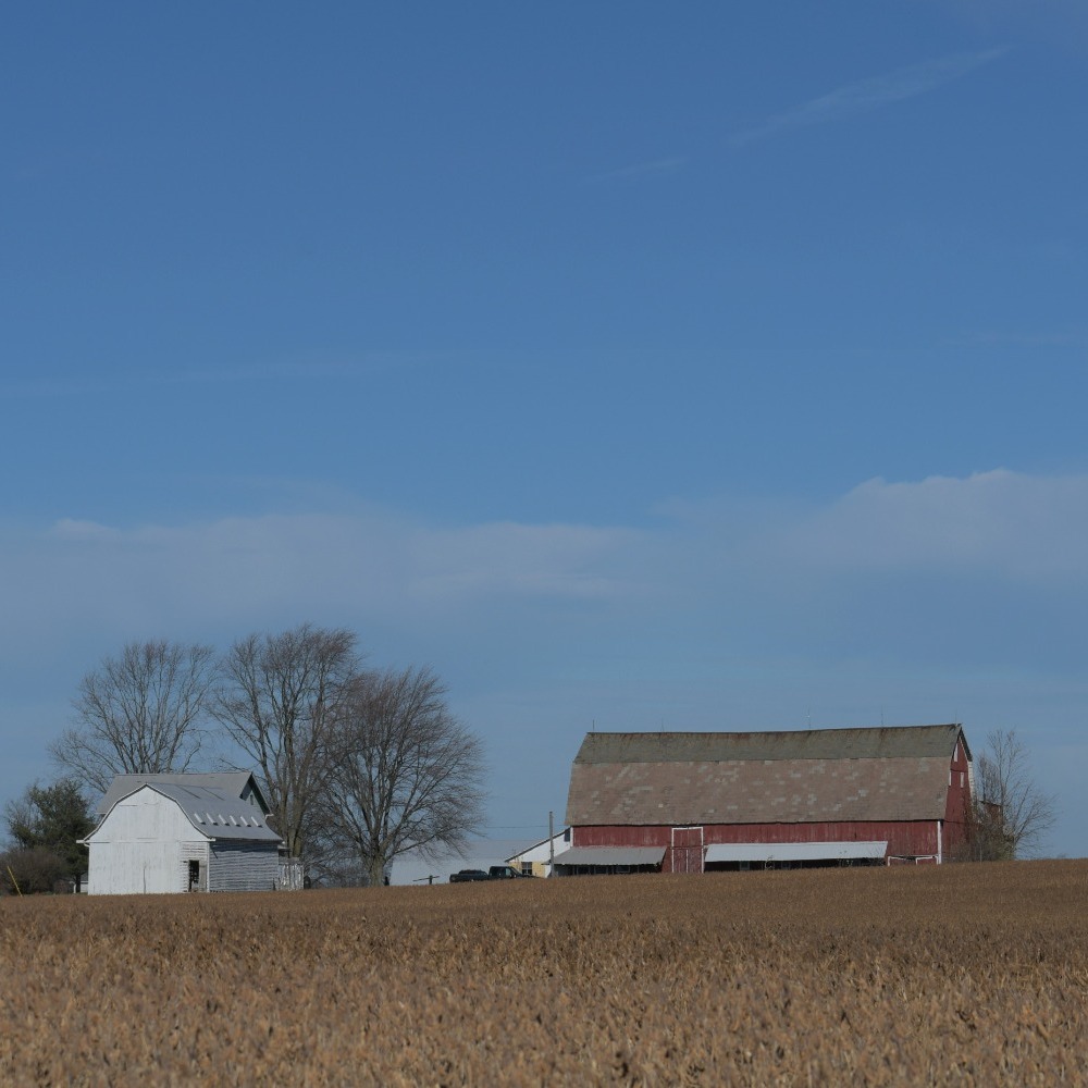 Laurel Haven Farm in Killbuck, OH Plain Direct
