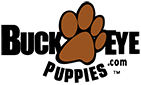 buckeye puppies