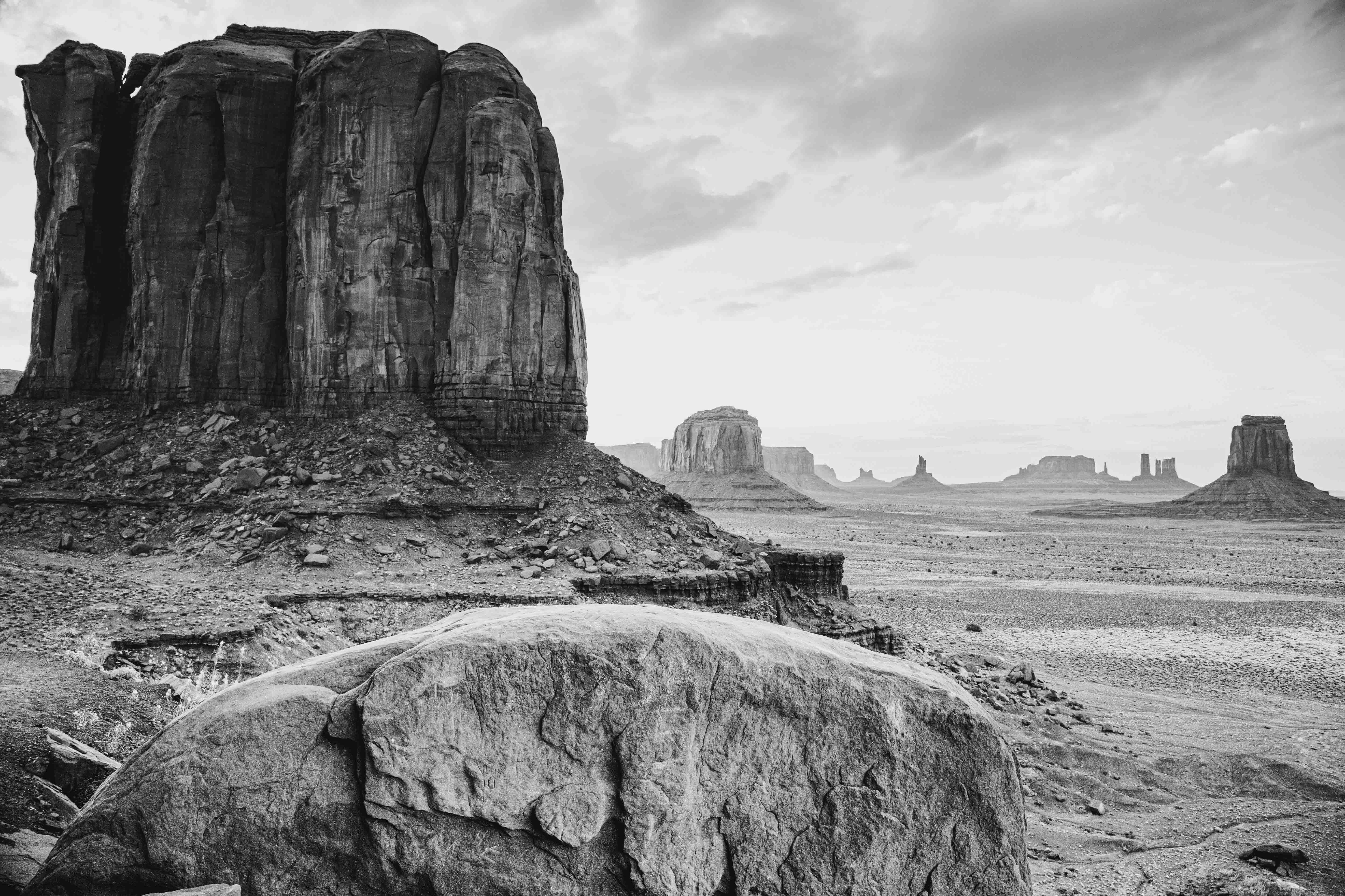 Desert Sentinels  in a room