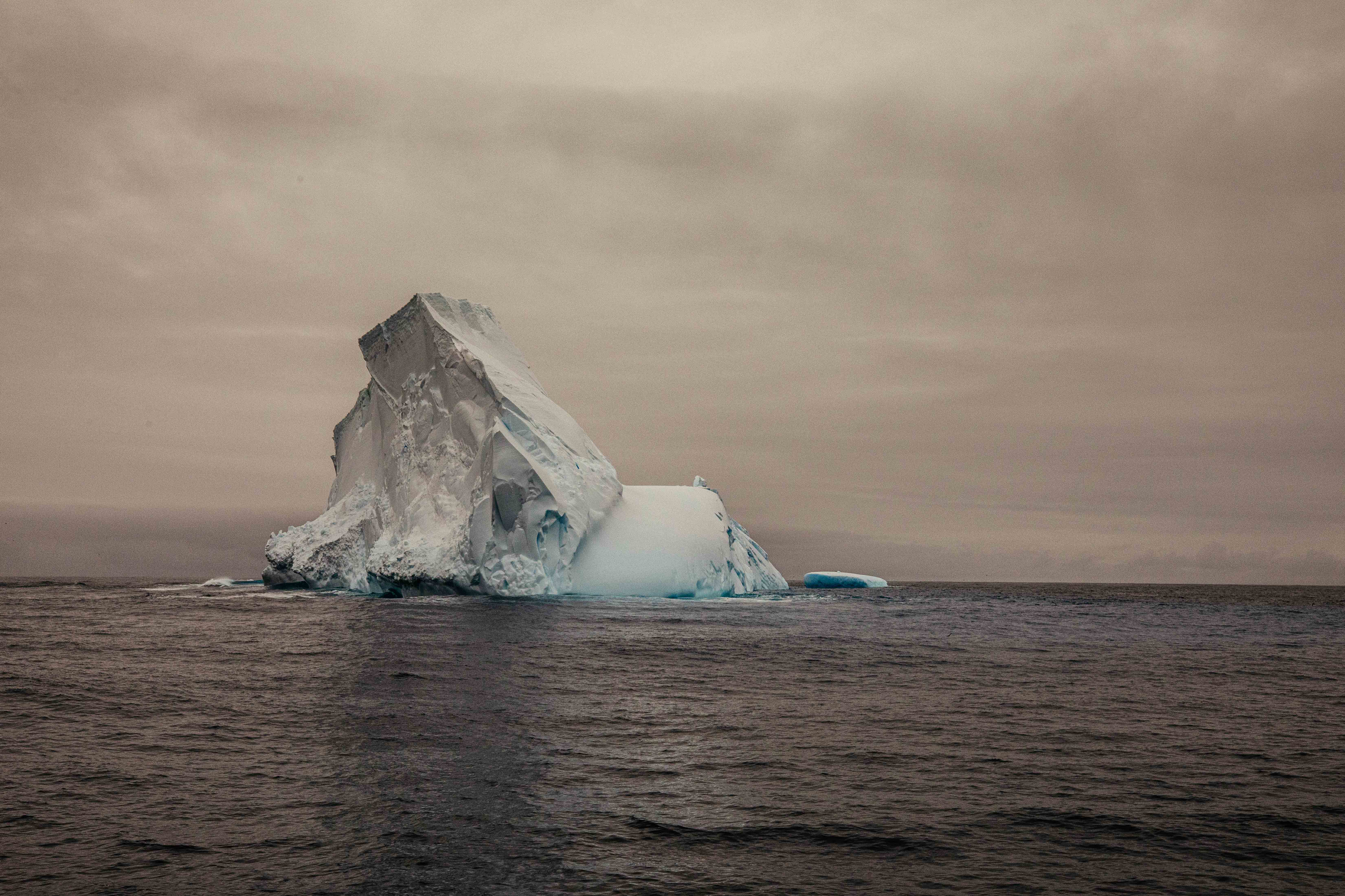 The Quiet Citadel in a room