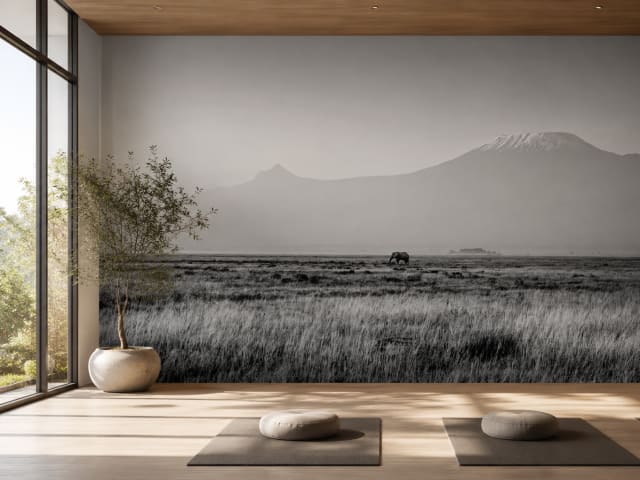 Monuments to the Wild in a wellness space