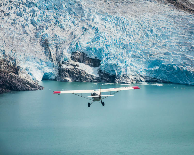 O’Higgins glacier