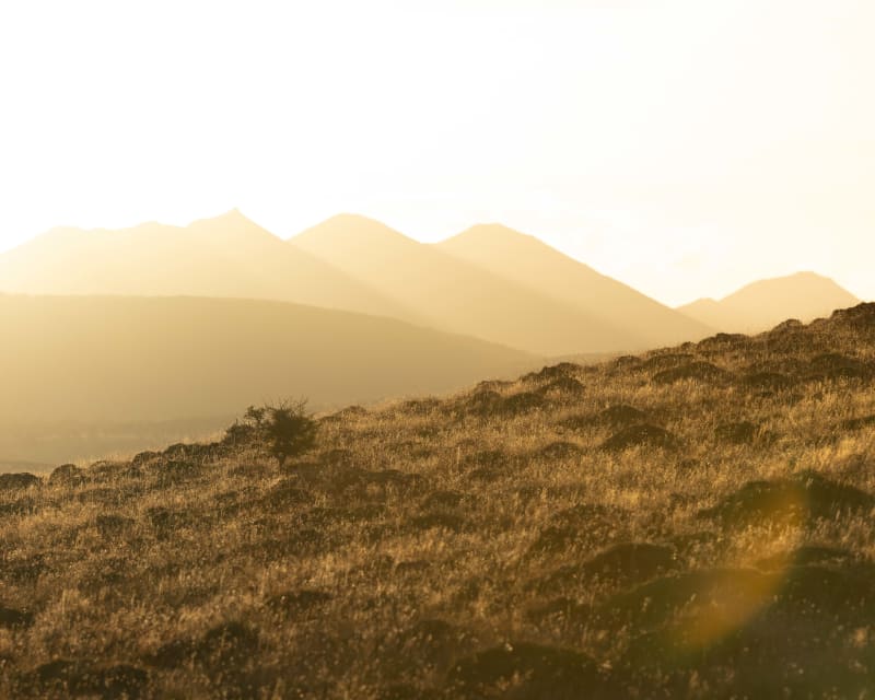 Steppe at dusk