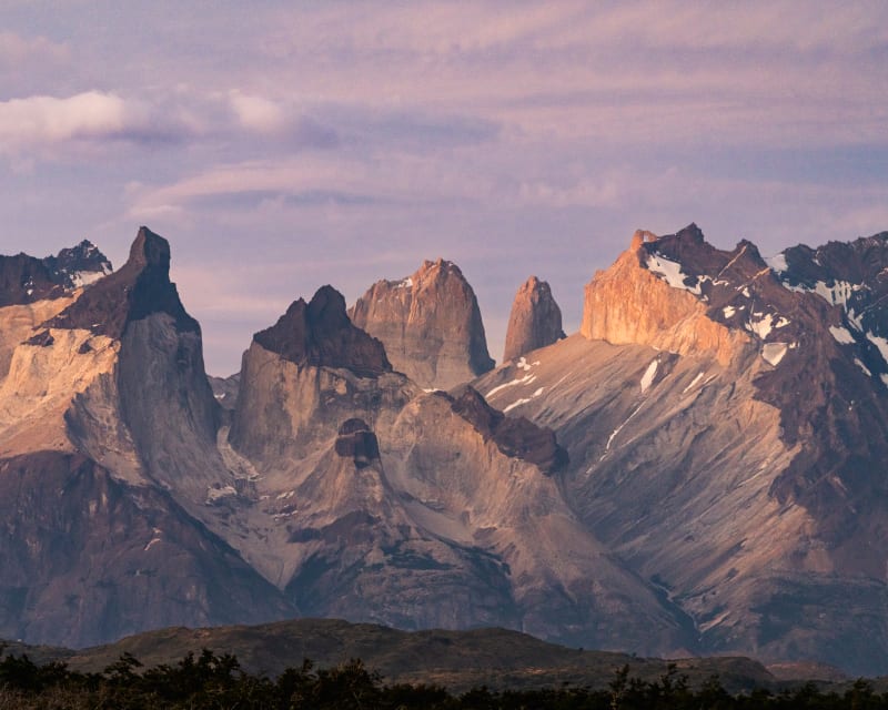 The Towers