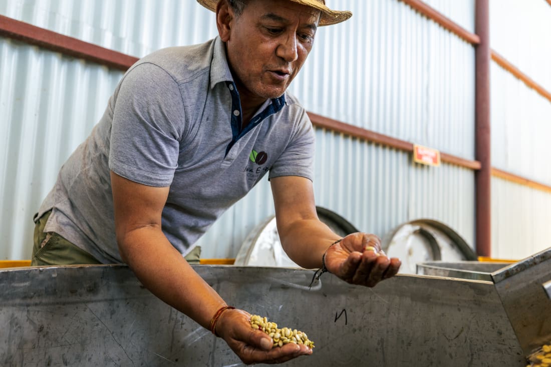 Tashi Wangchuk Tenzing inspecting washed coffee beans at the processing station