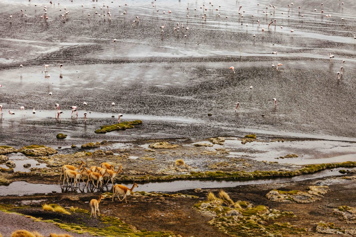 The Shared Shore