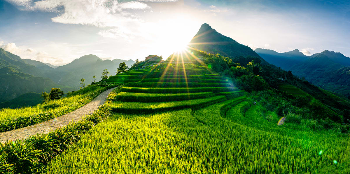 Terraced Light, Vietnam