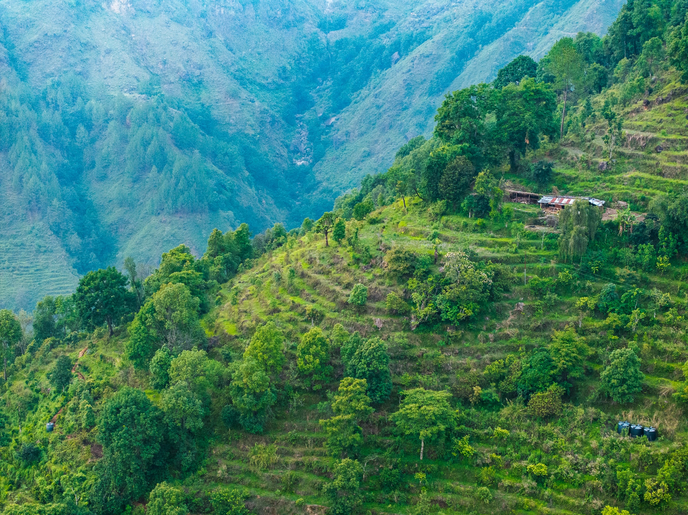 The forested mid-hills above the Trishuli valley, Nuwakot district, Nepal