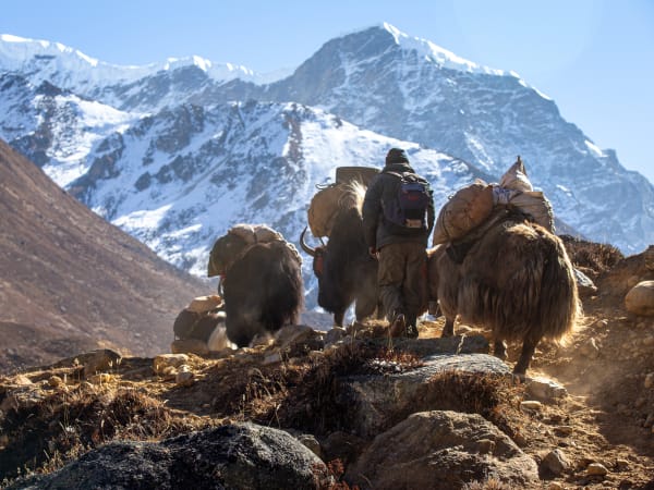 Nepal expedition, mountain preservation