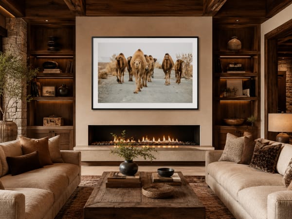 Camels, Guardians collection