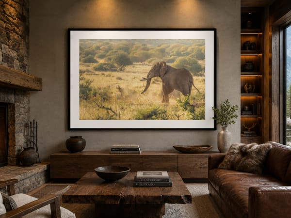 Elephant portrait, framed