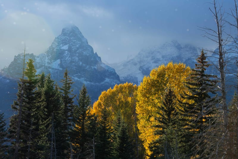 Winters Descent