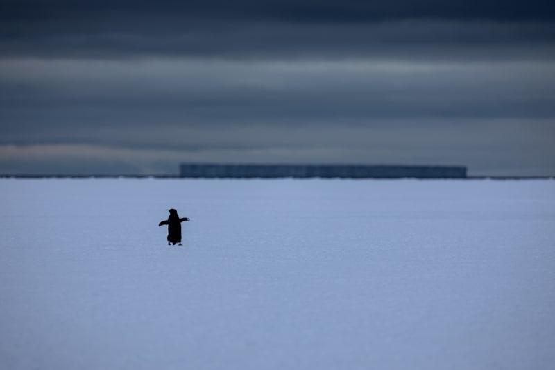 Frozen Footsteps