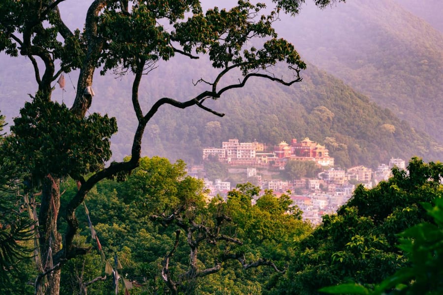 The Nepal Collection from Everest Coffee Company