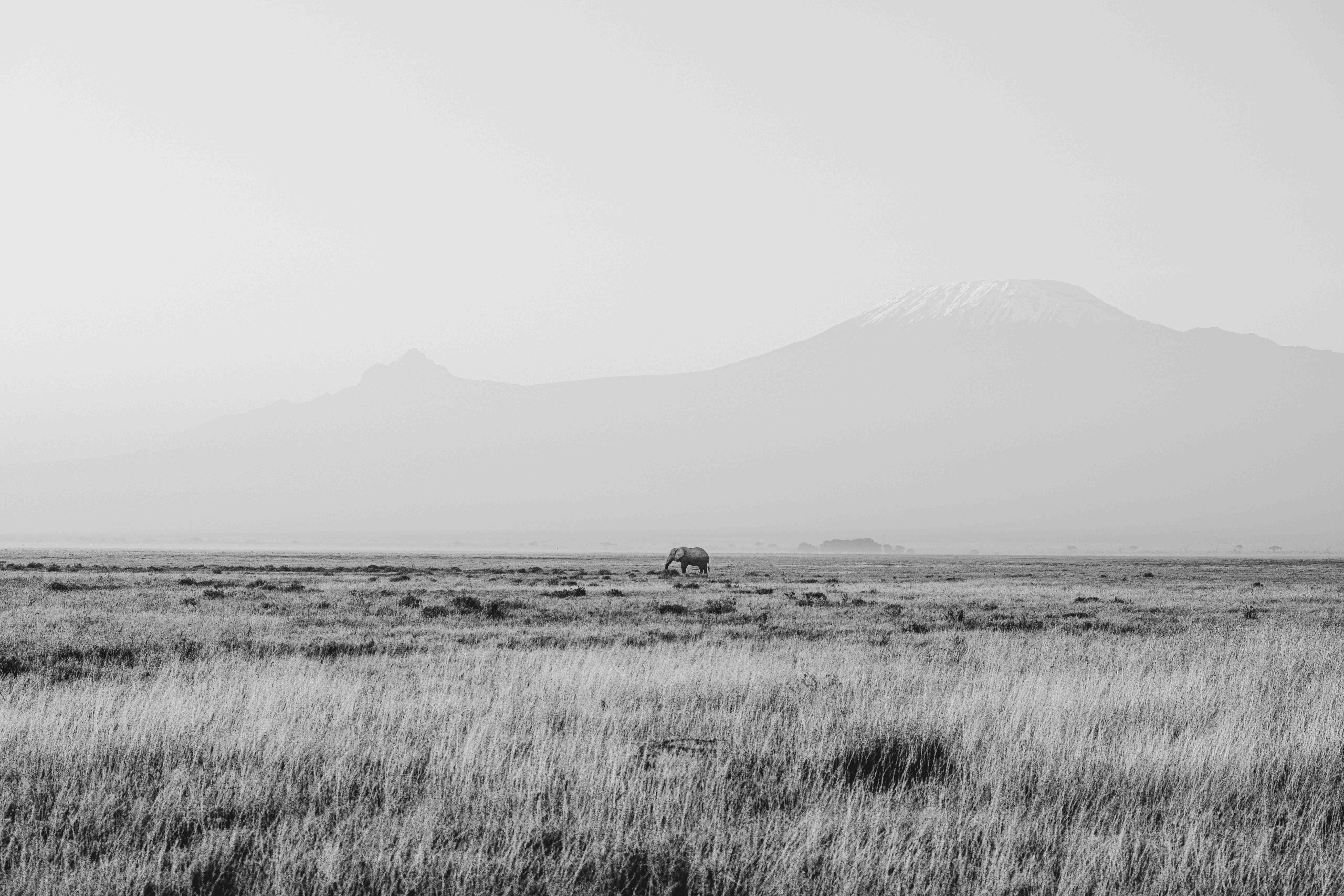 Monuments To The Wild