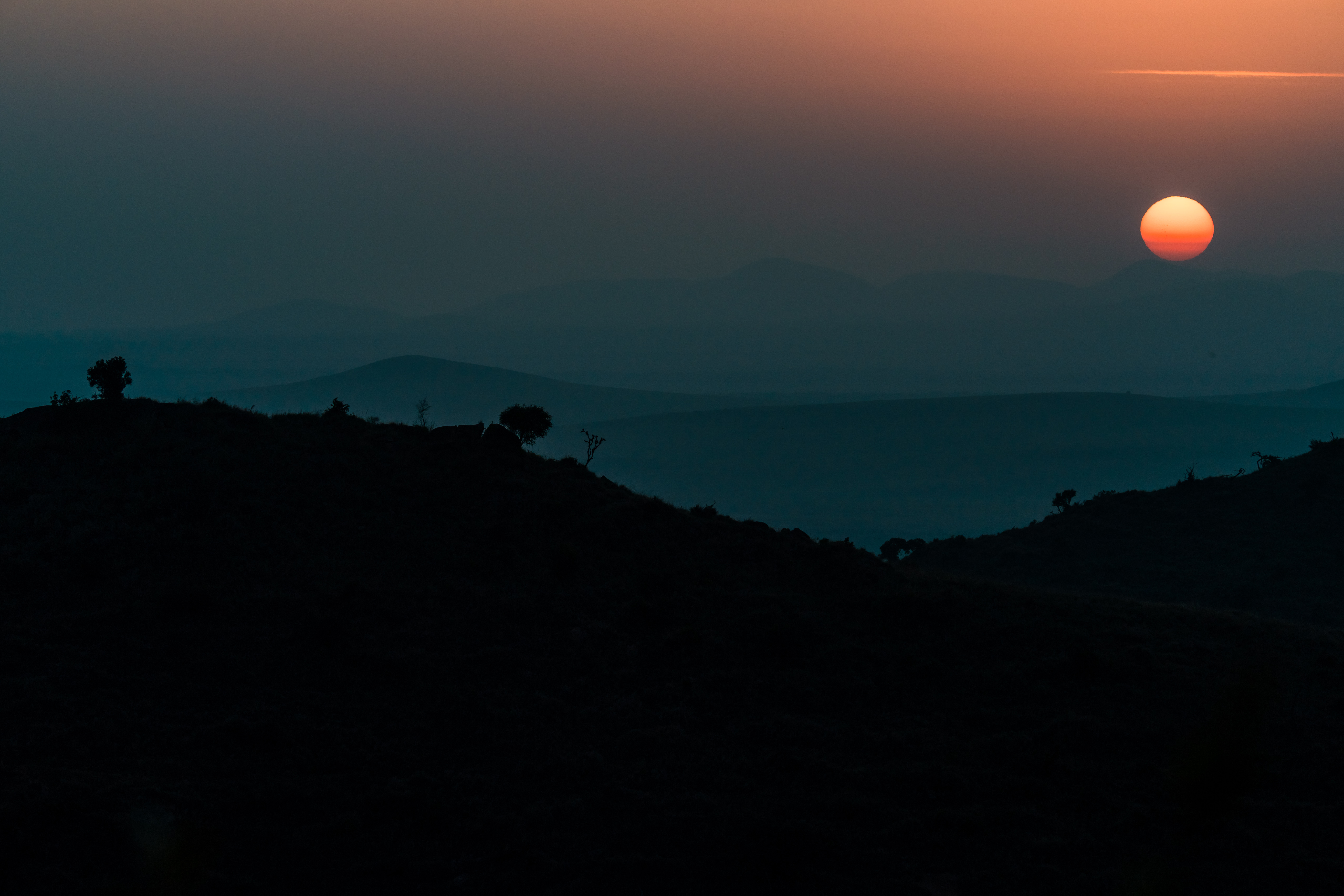 Laikipia Dawn