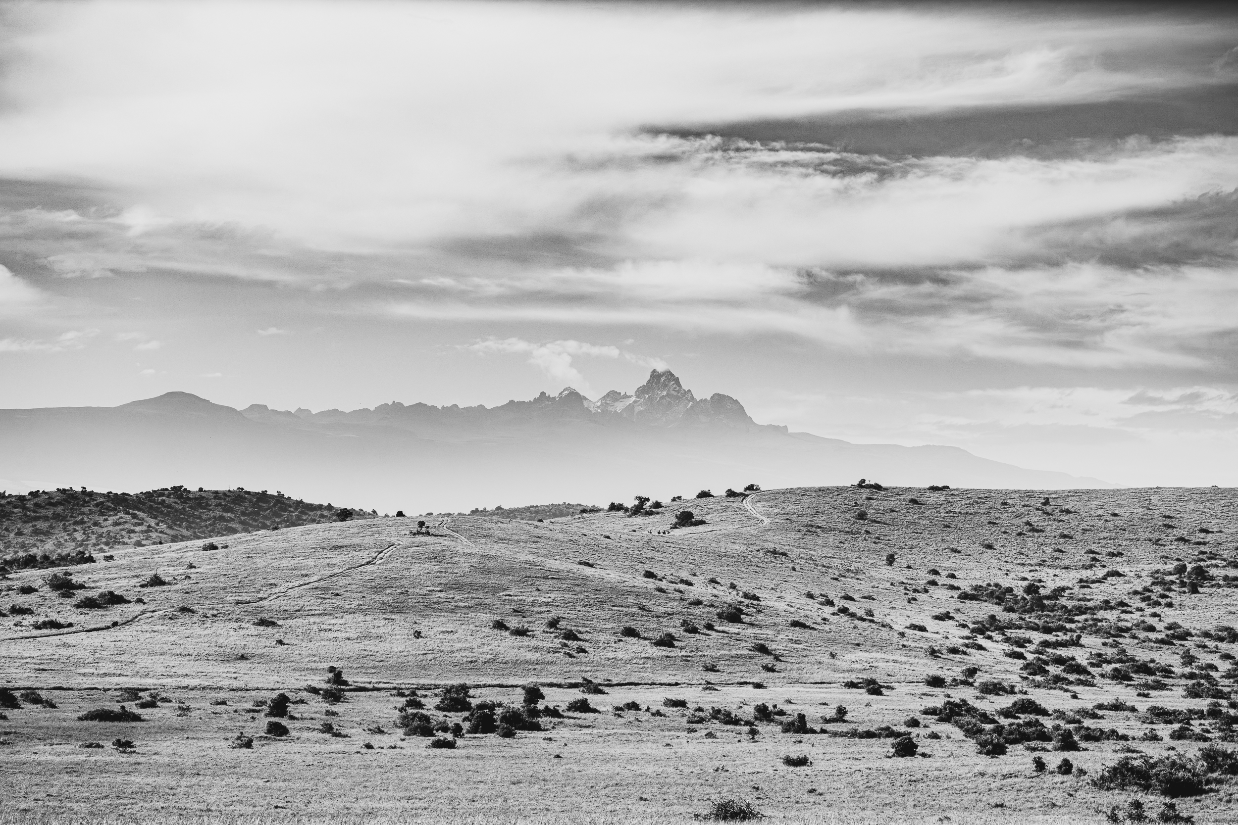 Welcome to the Guardians