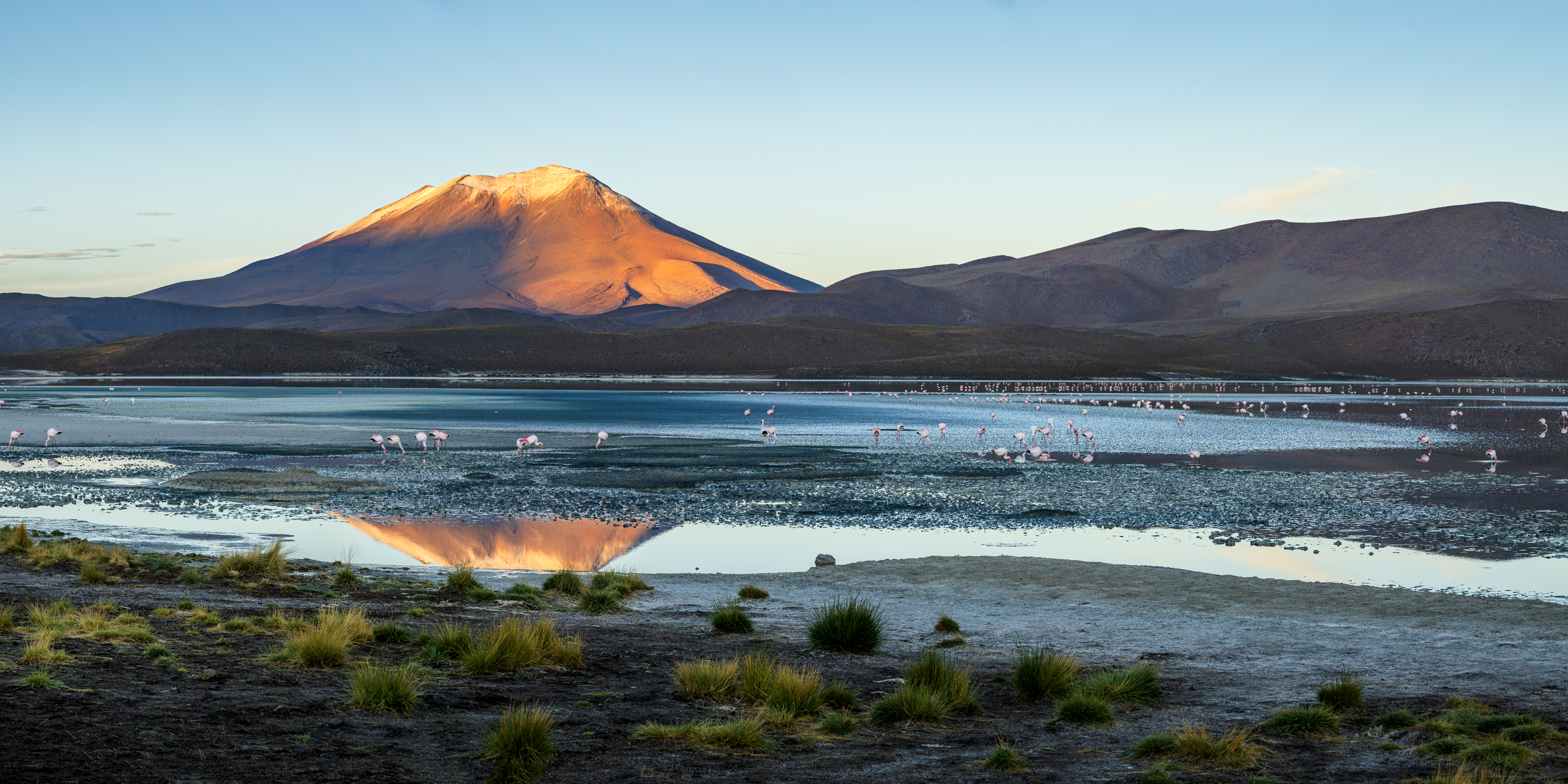 Flamingo Kingdom, Bolivia