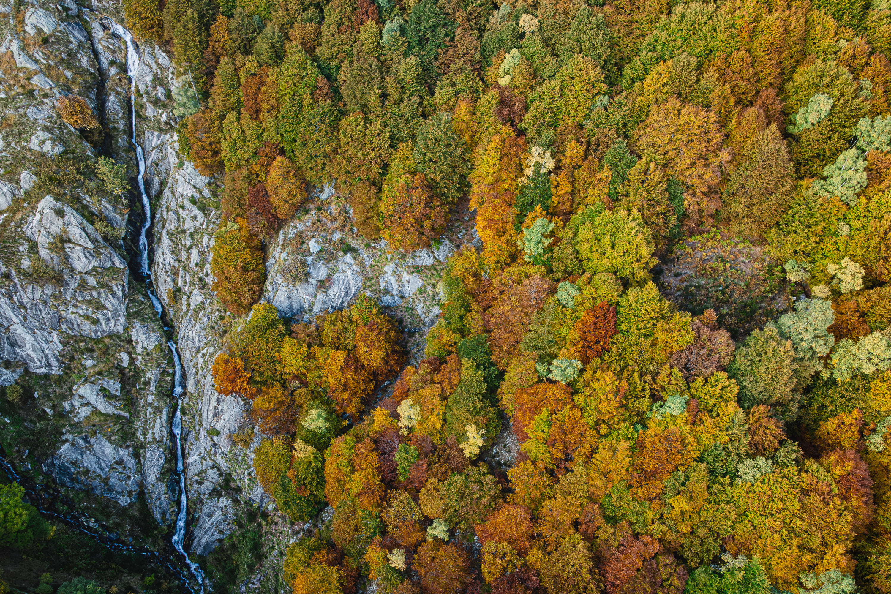 Alpine Cascade, Switzerland