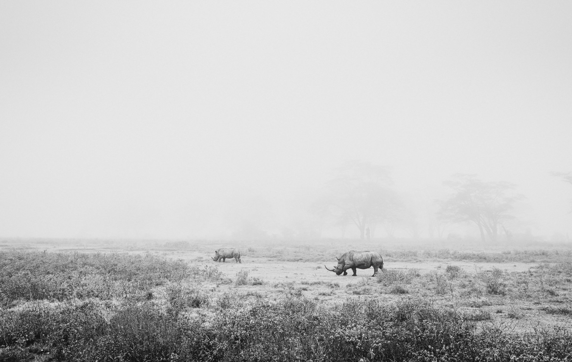 Planet 5 Gallery - Monochrome Duality