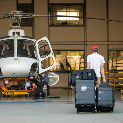 Wildlife production in Chile