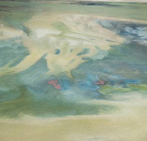 Higher Grounds - Altitude creates advantage