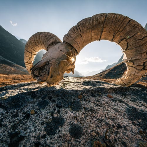 Photography Collection