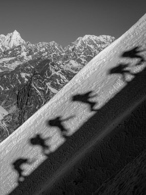 Expeditions - Shadow Line