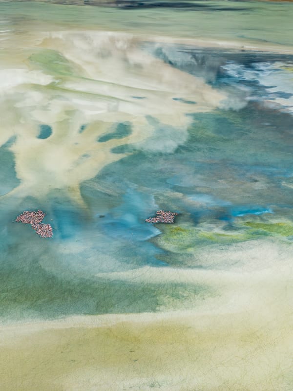 Higher Grounds Collection