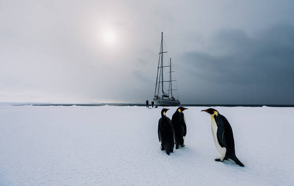 The Fifth Element Collection