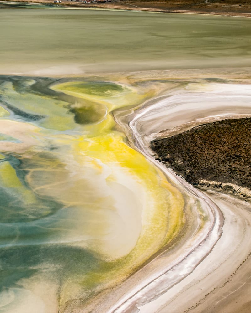 Yellow Flats Higher Ground