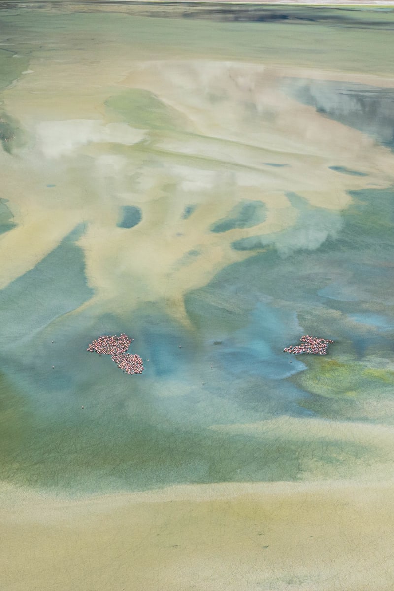 Higher Grounds - Altitude creates advantage