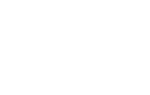 Nidi