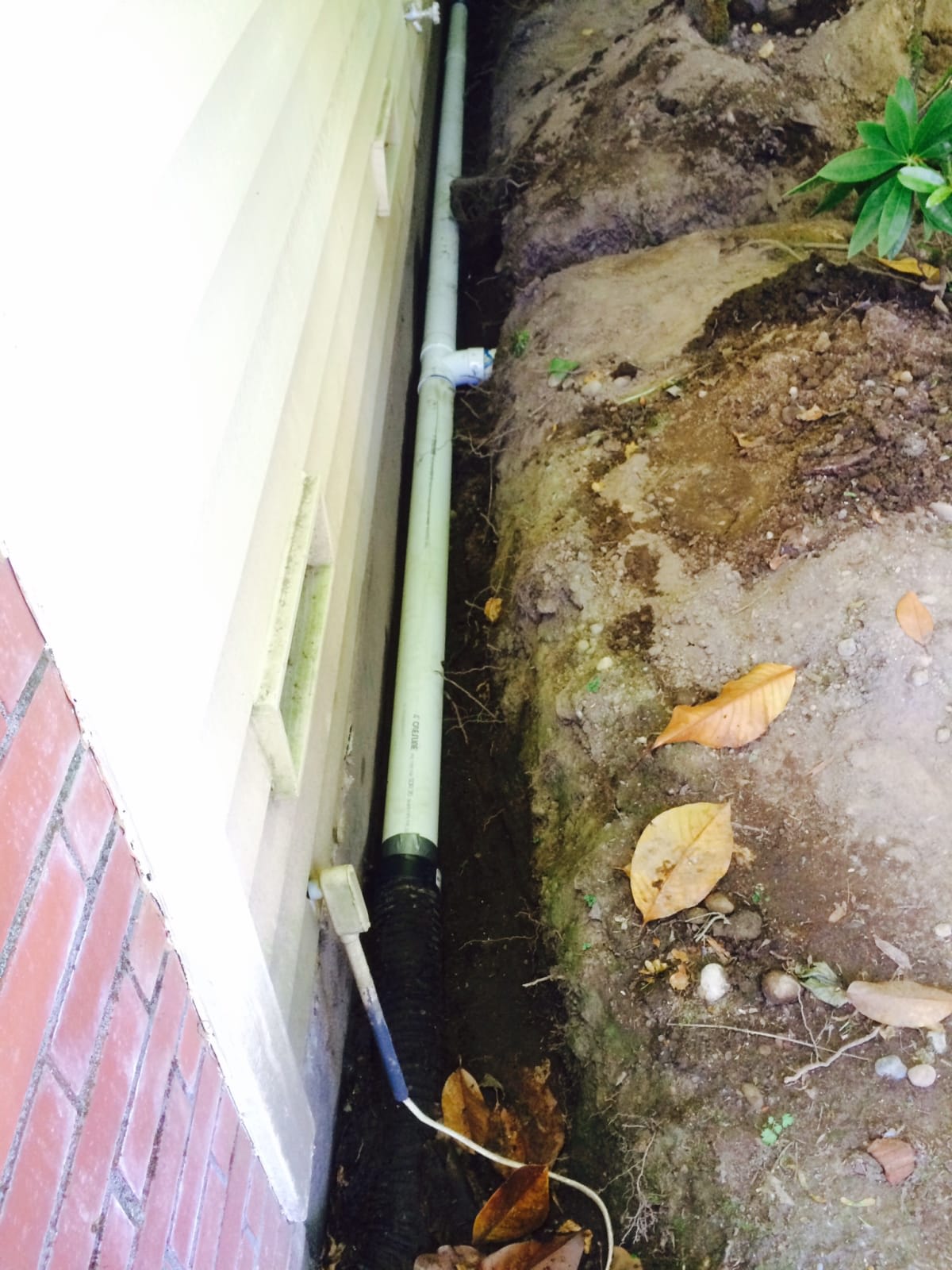 Yard Drainage Bellevue
