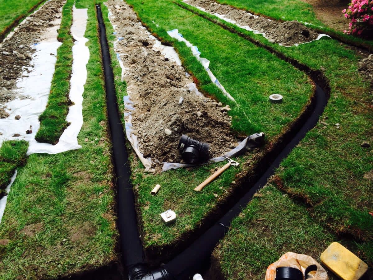 Irrigation Installation Sammamish