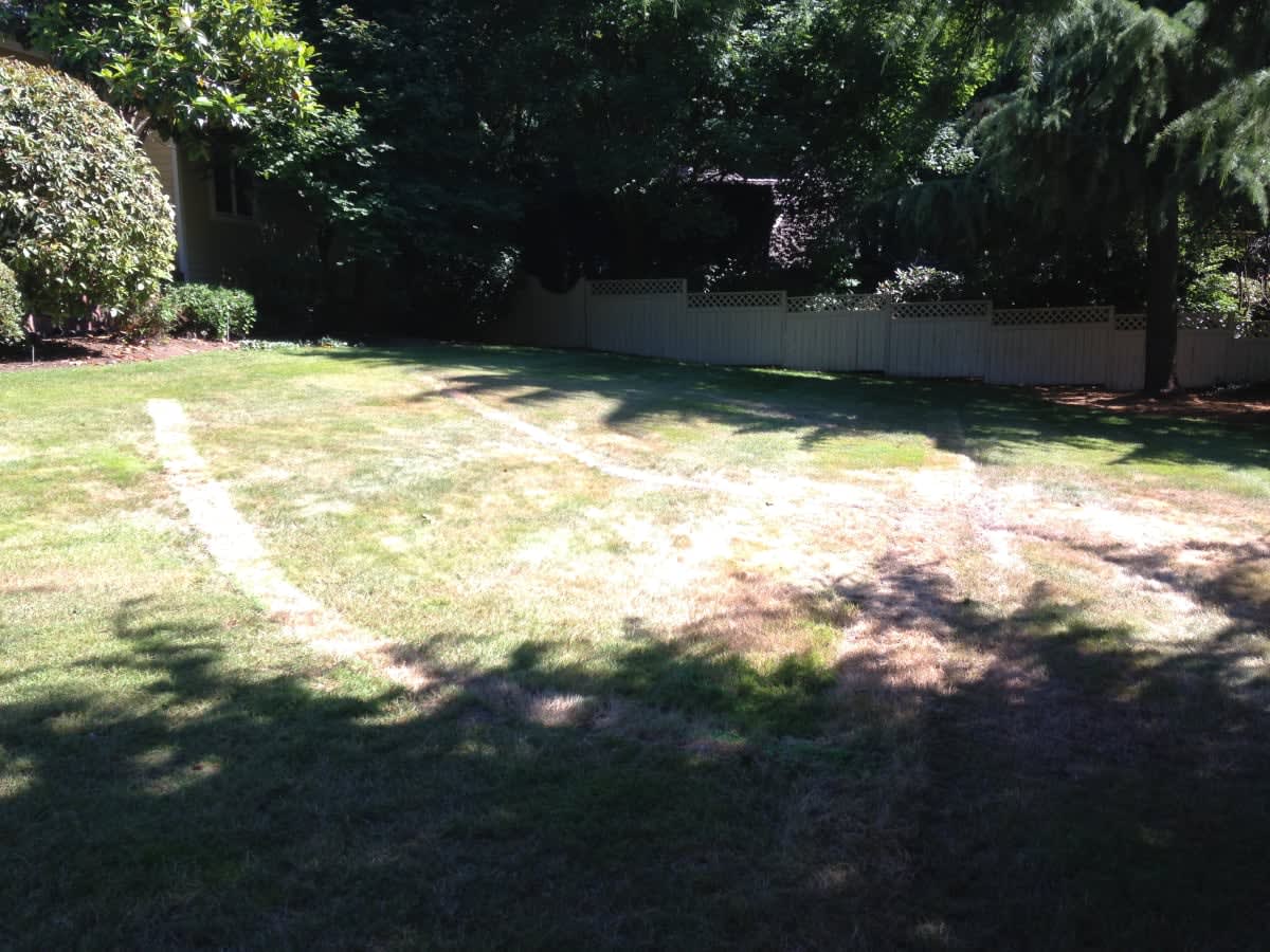 Irrigation Installation Bellevue