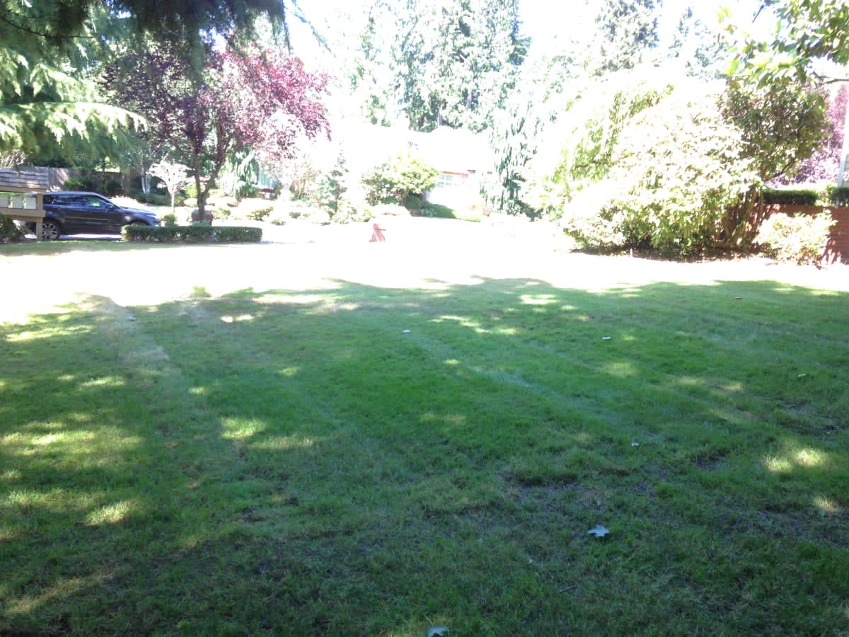 Irrigation Installation Redmond