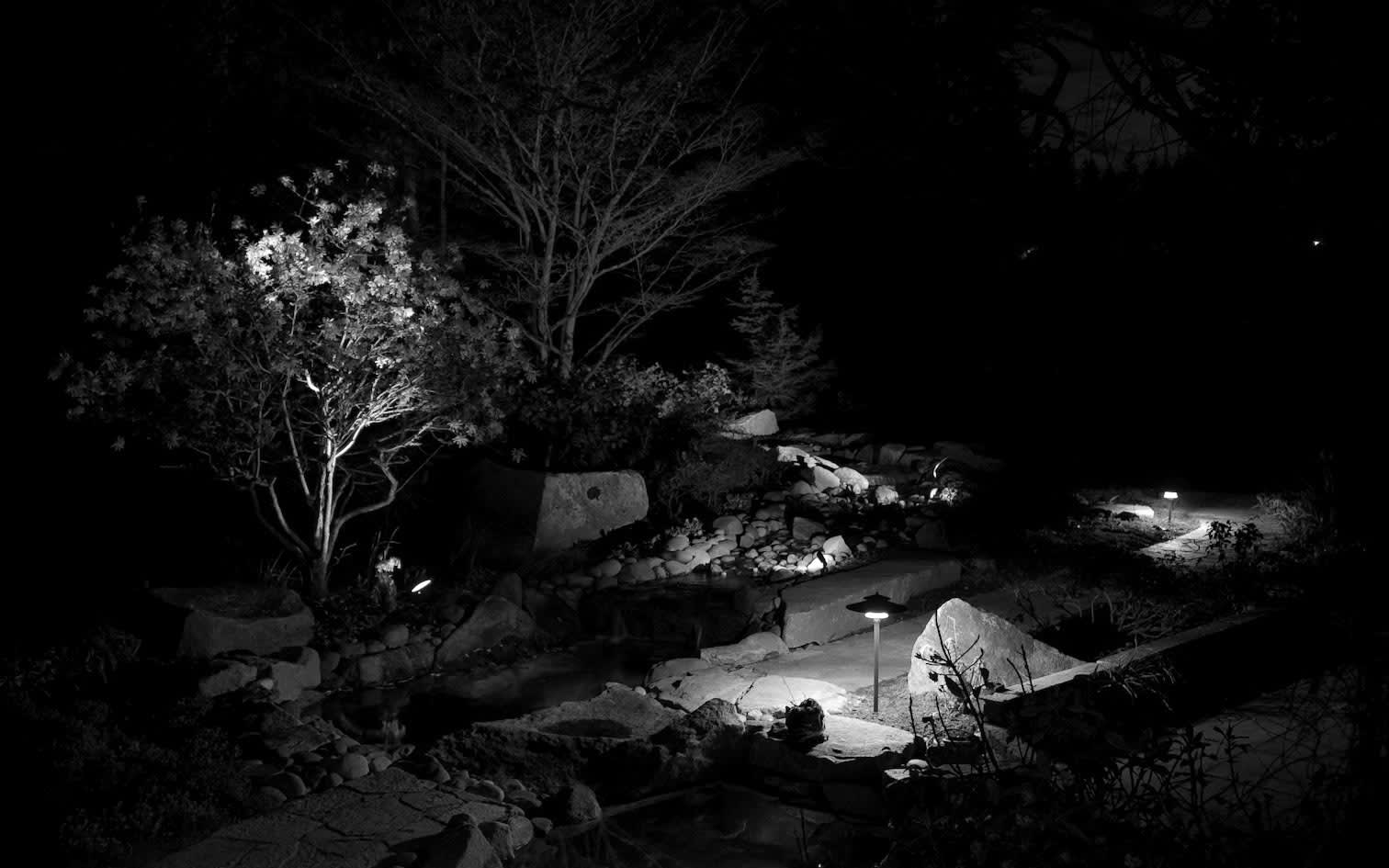 Landscape Light Service Cougar Hills