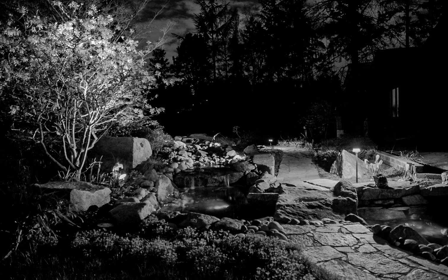 Landscape Light Service Newport Hills