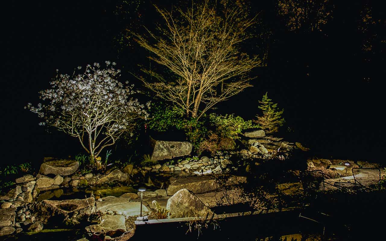 Landscape Light Service Medina