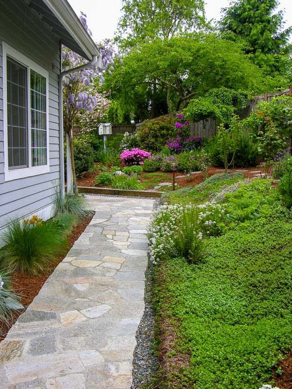 Bluestone Pathway Experts Newcastle