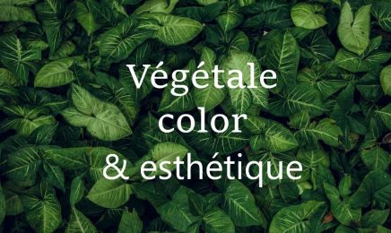 Végétale Color et Esthétique  : Coiffeur à Niort