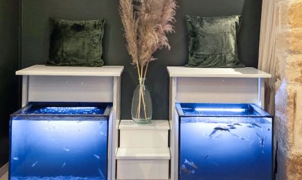 Zen Bar à Sieste : Institut de beauté à Paris