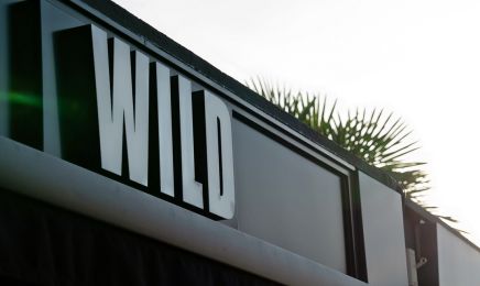 WILD Coiffeur Coloriste (Le Mesnil-Esnard) : Coiffeur à Le Mesnil-Esnard